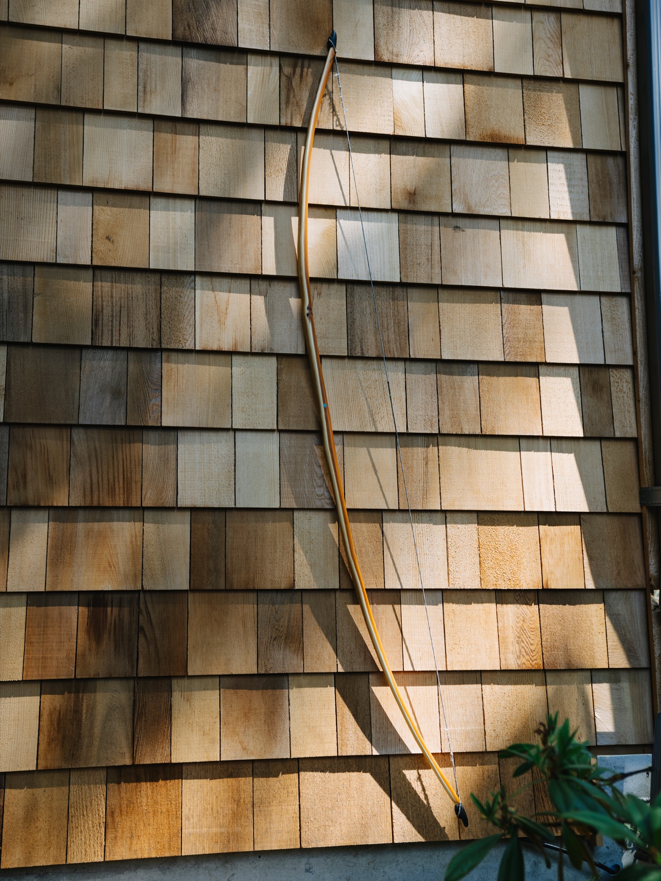 Pacific yew longbow with horn nocks