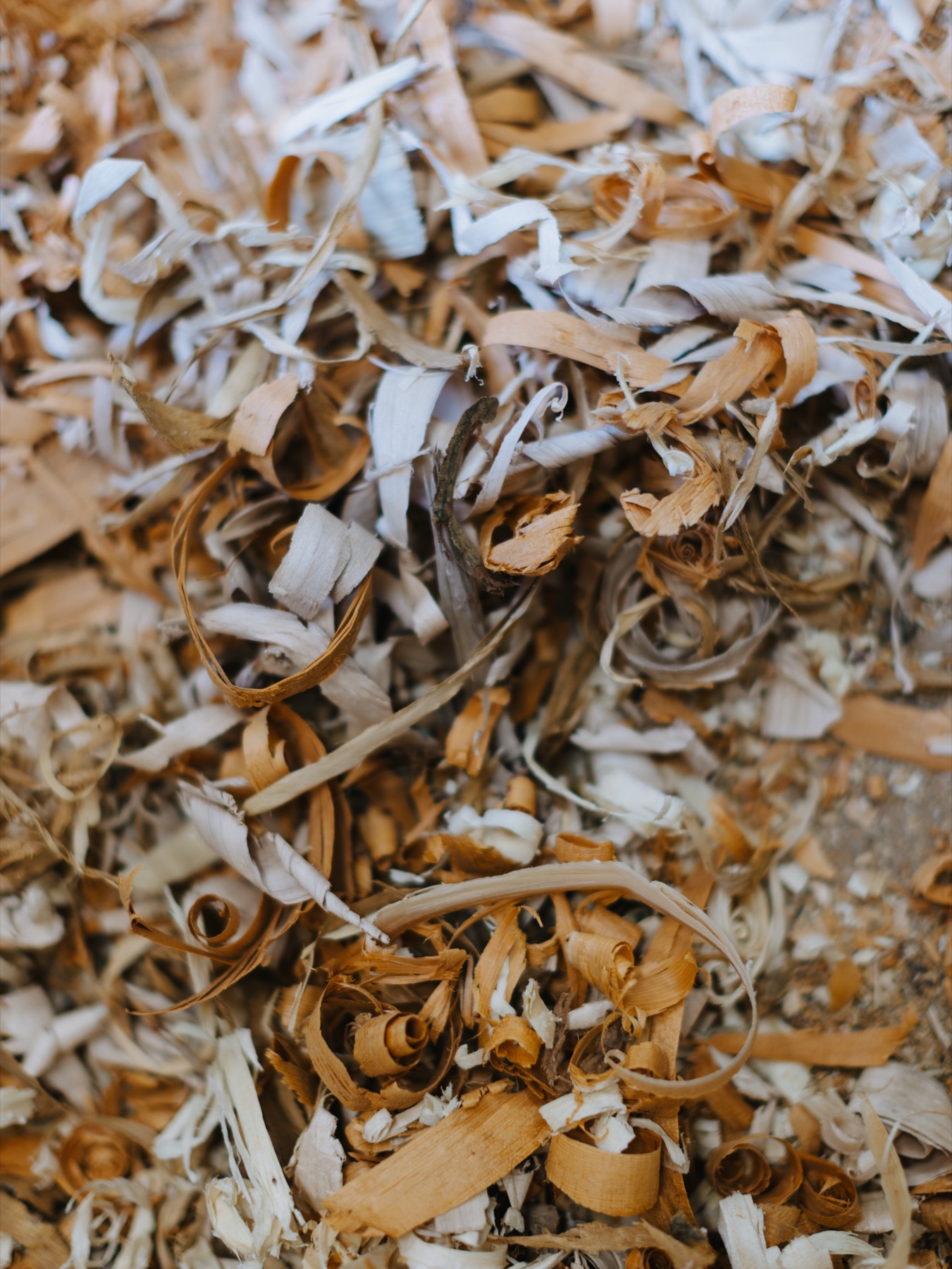 A deep pile of pale wood shavings on the workshop floor.